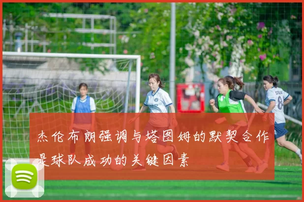 杰伦布朗强调与塔图姆的默契合作是球队成功的关键因素